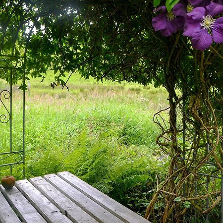 The Cottage Blackwood  Ngoại thất bức ảnh